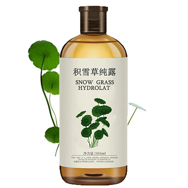 積雪草純露加植物底圖.jpg